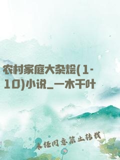 农村家庭大杂烩(1-10)小说