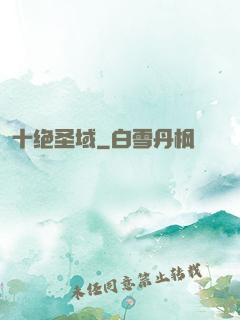 十绝圣域