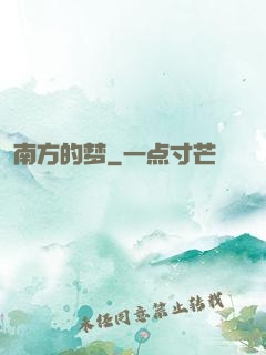 南方的梦