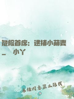 危险首席：逮捕小萌妻
