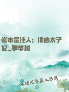 卿本是佳人：偷心太子妃