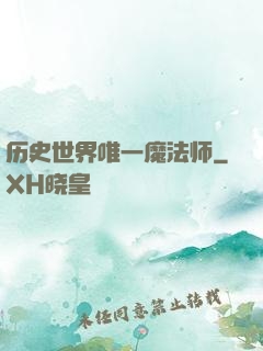 历史世界唯一魔法师