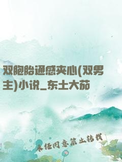 双胞胎通感夹心(双男主)小说