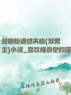 双胞胎通感夹心(双男主)小说