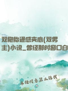 双胞胎通感夹心(双男主)小说