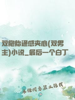 双胞胎通感夹心(双男主)小说