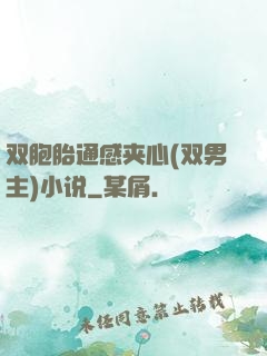 双胞胎通感夹心(双男主)小说