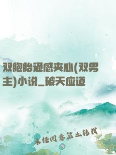 双胞胎通感夹心(双男主)小说