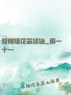 双阳插花芯修仙