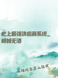 史上最强供应商系统