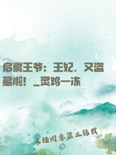 启禀王爷：王妃，又盗墓啦！