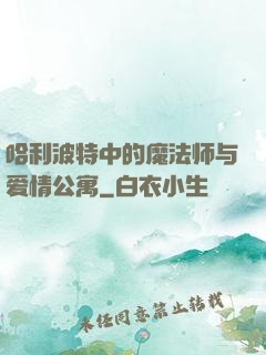 哈利波特中的魔法师与爱情公寓