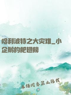 哈利波特之大灾难