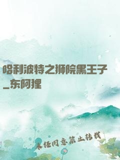 哈利波特之狮院黑王子