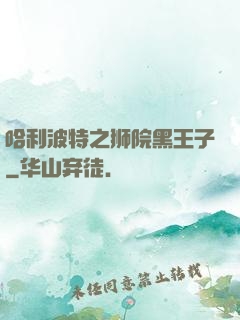 哈利波特之狮院黑王子