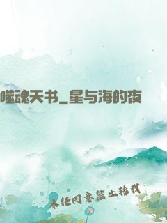 噬魂天书