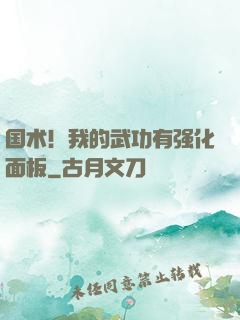 国术！我的武功有强化面板