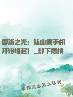 国货之光：从山寨手机开始崛起！