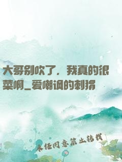 大哥别吹了，我真的很菜啊