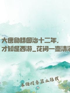 大唐励精图治十二年，才知是西游