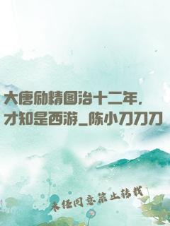 大唐励精图治十二年，才知是西游