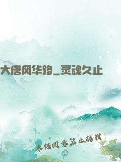 大唐风华路