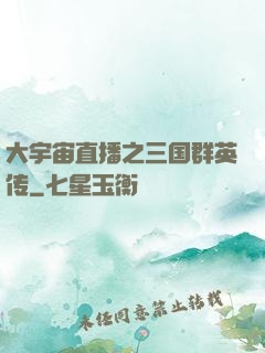 大宇宙直播之三国群英传