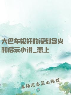 大巴车轮轩的深刻含义和启示小说
