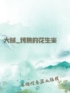 大贼