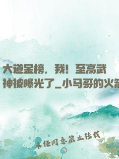 大道金榜，我！至高武神被曝光了