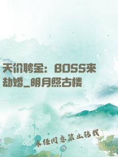 天价聘金：BOSS来劫婚
