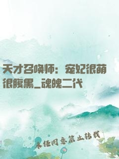 天才召唤师：宠妃很萌很腹黑
