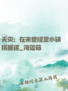 天灾：在末世经营小镇搞基建