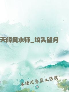 天降风水师