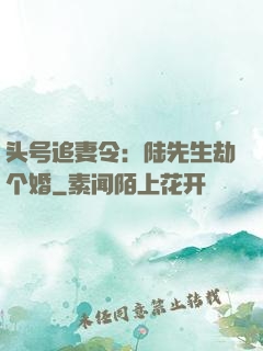 头号追妻令：陆先生劫个婚