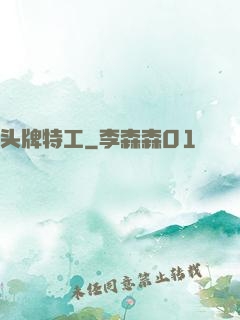 头牌特工