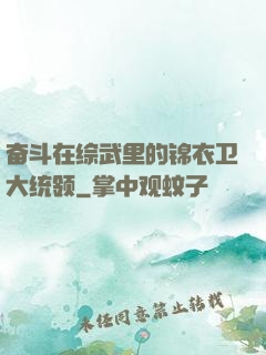 奋斗在综武里的锦衣卫大统领