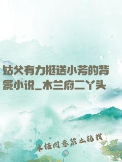 姑父有力挺送小芳的背景小说