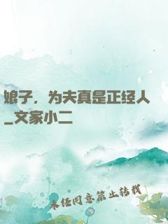 娘子，为夫真是正经人