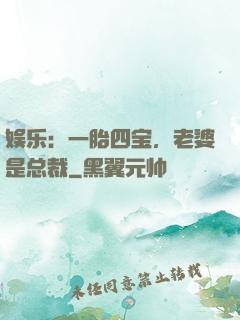 娱乐：一胎四宝，老婆是总裁