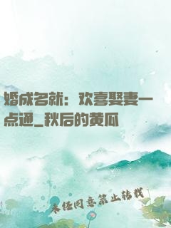 婚成名就：欢喜娶妻一点通