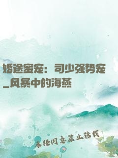 婚途蜜宠：司少强势宠