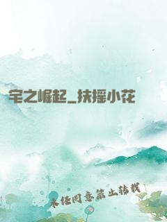 宅之崛起