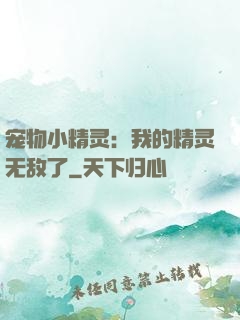 宠物小精灵：我的精灵无敌了
