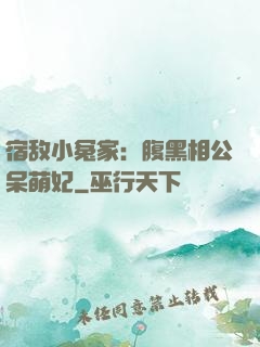 宿敌小冤家：腹黑相公呆萌妃
