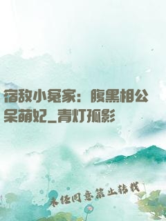 宿敌小冤家：腹黑相公呆萌妃