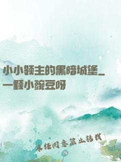 小小领主的黑暗城堡