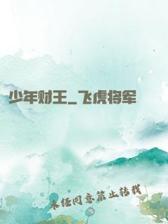 少年财王
