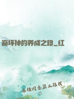 崩坏神的养成之路