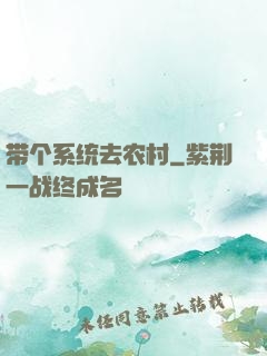 带个系统去农村